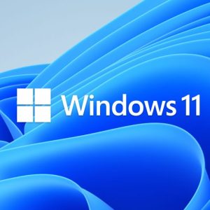 Microsoft Windows 11 Pro