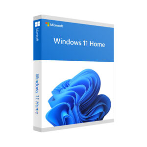 Microsoft Windows 11 Pro
